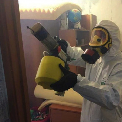 Уничтожение клопов в квартире. Киров